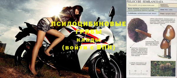 не бодяженный Ростов
